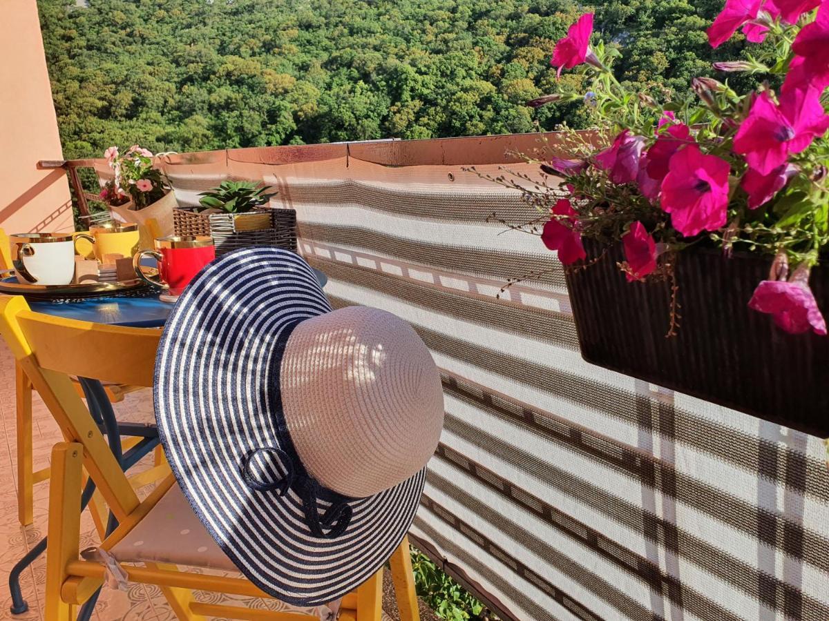 Apartman Bake Milke Senj  Exteriör bild